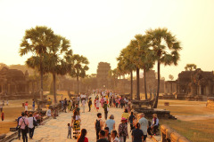 Angkor Wat Taxi logo
